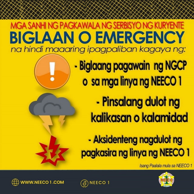 Mga Sanhi Ng Pagkawala Ng Serbisyo Ng Kuryente Nueva Ecija 1 Electric Cooperative Inc 2641